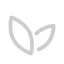 Envato